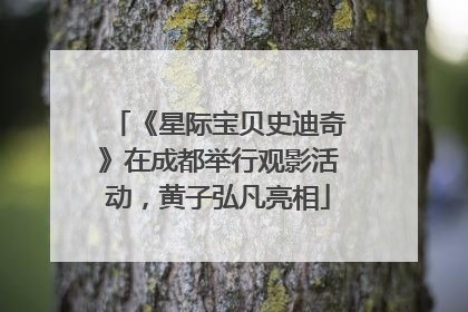 《星际宝贝史迪奇》在成都举行观影活动，黄子弘凡亮相