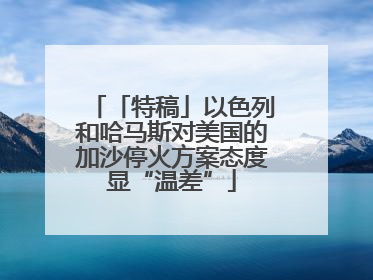 「特稿」以色列和哈马斯对美国的加沙停火方案态度显“温差”