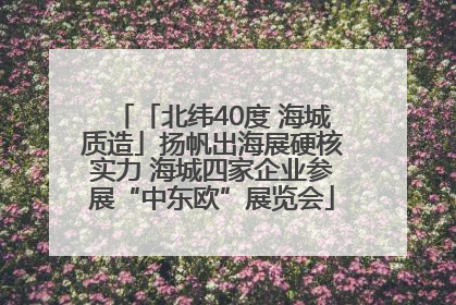 「北纬40度 海城质造」扬帆出海展硬核实力 海城四家企业参展“中东欧”展览会