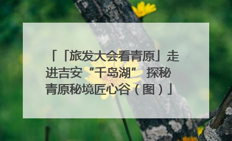 「旅发大会看青原」走进吉安“千岛湖” 探秘青原秘境匠心谷（图）