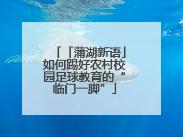 「蒲湖新语」如何踢好农村校园足球教育的“临门一脚”