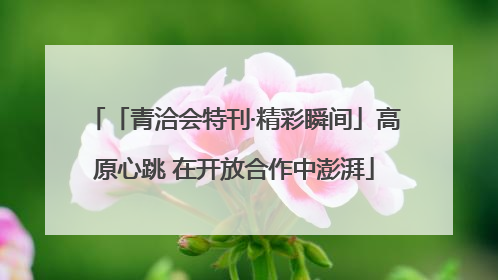 「青洽会特刊·精彩瞬间」高原心跳 在开放合作中澎湃