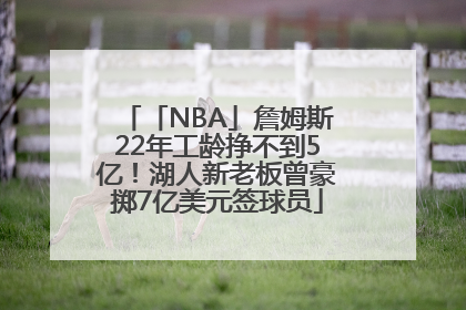 「NBA」詹姆斯22年工龄挣不到5亿！湖人新老板曾豪掷7亿美元签球员