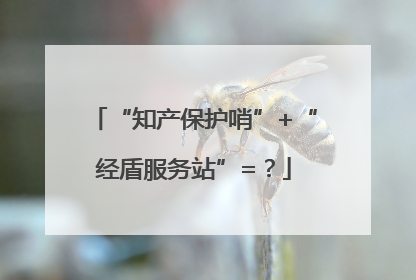 “知产保护哨”+“经盾服务站”=？