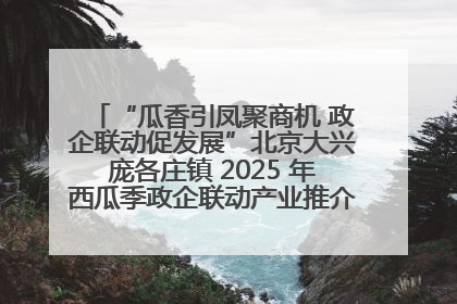 “瓜香引凤聚商机 政企联动促发展”北京大兴庞各庄镇 2025 年西瓜季政企联动产业推介活动圆满举行