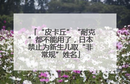 “皮卡丘”“耐克”都不能用了，日本禁止为新生儿取“非常规”姓名