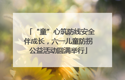 “童”心筑防线安全伴成长，六一儿童防拐公益活动圆满举行