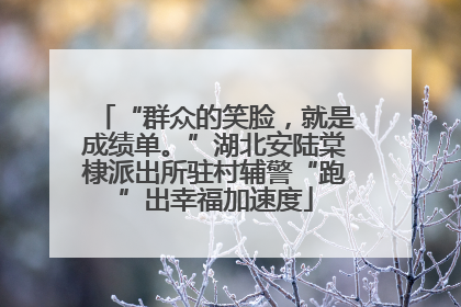 “群众的笑脸，就是成绩单。”湖北安陆棠棣派出所驻村辅警“跑”出幸福加速度