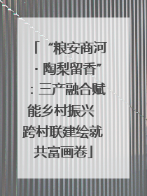 “粮安商河・陶梨留香”：三产融合赋能乡村振兴 跨村联建绘就共富画卷