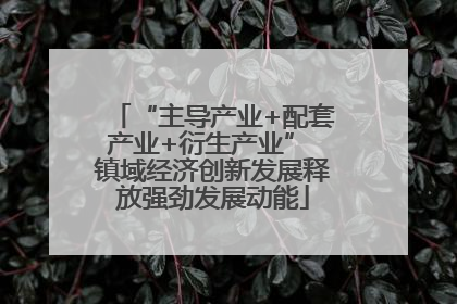“主导产业+配套产业+衍生产业” 镇域经济创新发展释放强劲发展动能