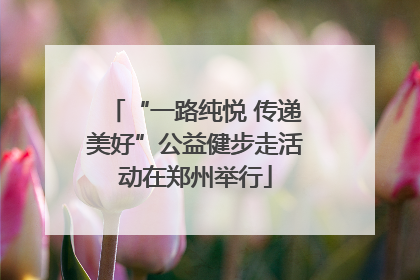 “一路纯悦 传递美好”公益健步走活动在郑州举行