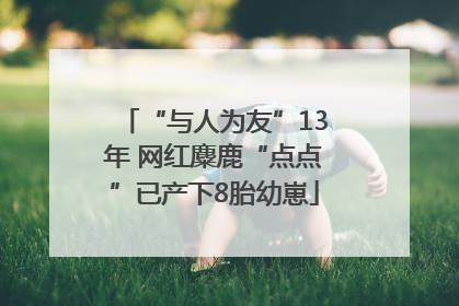 “与人为友”13年 网红麋鹿“点点”已产下8胎幼崽