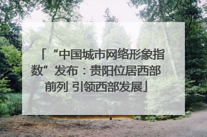 “中国城市网络形象指数”发布：贵阳位居西部前列 引领西部发展