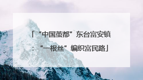 “中国茧都”东台富安镇：“一根丝”编织富民路