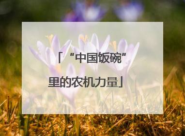 “中国饭碗”里的农机力量