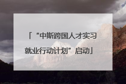 “中斯跨国人才实习就业行动计划”启动