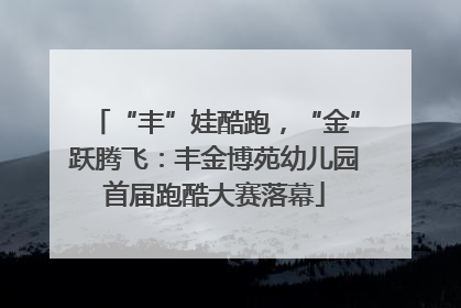 “丰”娃酷跑，“金”跃腾飞：丰金博苑幼儿园首届跑酷大赛落幕