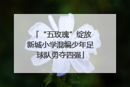“五玫瑰”绽放 新城小学混编少年足球队勇夺四强