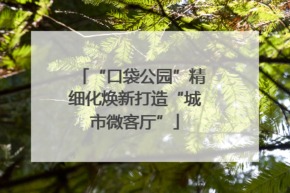 “口袋公园”精细化焕新打造“城市微客厅”