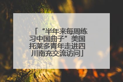 “半年来每周练习中国曲子”美国托莱多青年走进四川南充交流访问