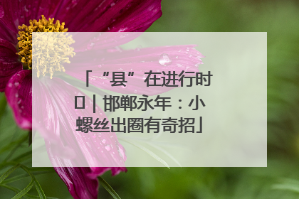 “县”在进行时⑬｜邯郸永年：小螺丝出圈有奇招