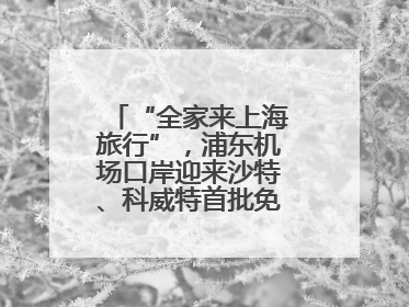 “全家来上海旅行”，浦东机场口岸迎来沙特、科威特首批免签入境旅客
