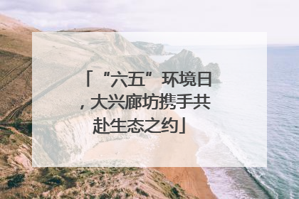 “六五”环境日，大兴廊坊携手共赴生态之约