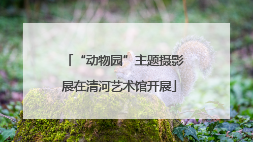 “动物园”主题摄影展在清河艺术馆开展