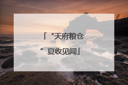 “天府粮仓”夏收见闻