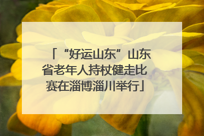 “好运山东”山东省老年人持杖健走比赛在淄博淄川举行