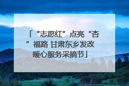 “志愿红”点亮“杏”福路 甘肃东乡发改暖心服务采摘节