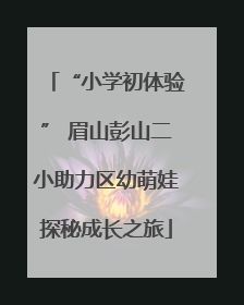 “小学初体验” 眉山彭山二小助力区幼萌娃探秘成长之旅