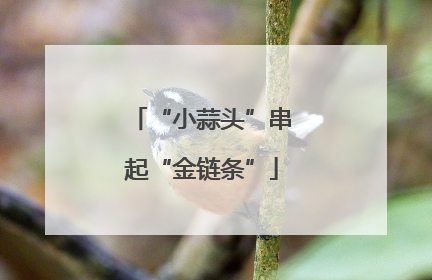 “小蒜头”串起“金链条”