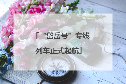 “岱岳号”专线列车正式起航