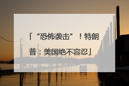 “恐怖袭击”！特朗普：美国绝不容忍