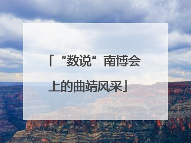 “数说”南博会上的曲靖风采