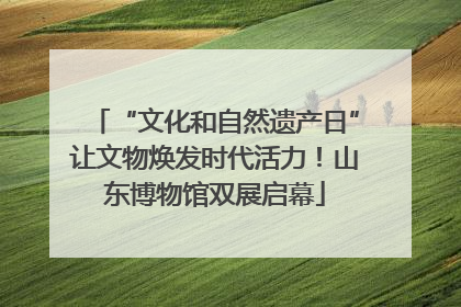 “文化和自然遗产日”让文物焕发时代活力！山东博物馆双展启幕