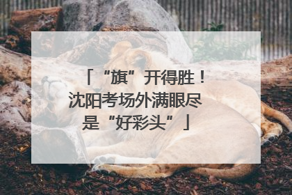 “旗”开得胜！沈阳考场外满眼尽是“好彩头”