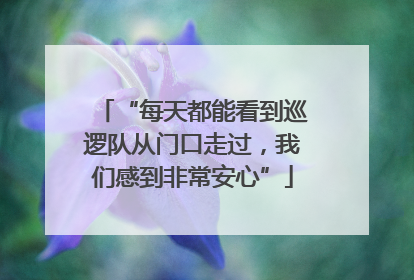 “每天都能看到巡逻队从门口走过，我们感到非常安心”