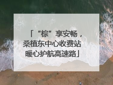 “棕”享安畅，桑植东中心收费站暖心护航高速路