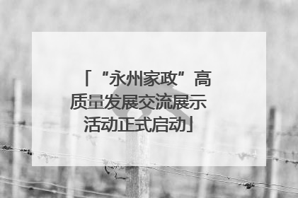 “永州家政”高质量发展交流展示活动正式启动