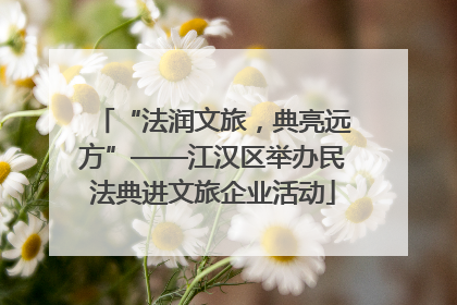 “法润文旅，典亮远方”——江汉区举办民法典进文旅企业活动