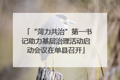 “菏力共治”第一书记助力基层治理活动启动会议在单县召开