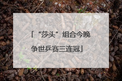 “莎头”组合今晚争世乒赛三连冠