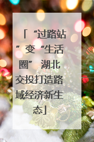 “过路站”变“生活圈” 湖北交投打造路域经济新生态