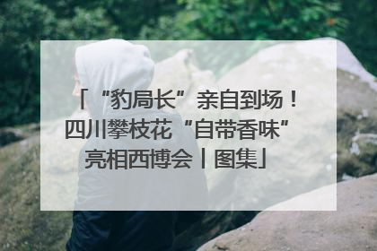 “豹局长”亲自到场！四川攀枝花“自带香味”亮相西博会丨图集