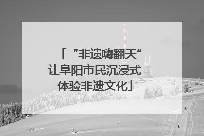“非遗嗨翻天”让阜阳市民沉浸式体验非遗文化