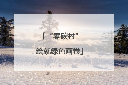 “零碳村” 绘就绿色画卷