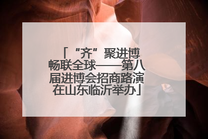 “齐”聚进博 畅联全球——第八届进博会招商路演在山东临沂举办