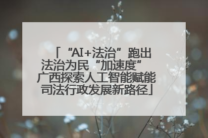 “AI+法治”跑出法治为民“加速度” 广西探索人工智能赋能司法行政发展新路径